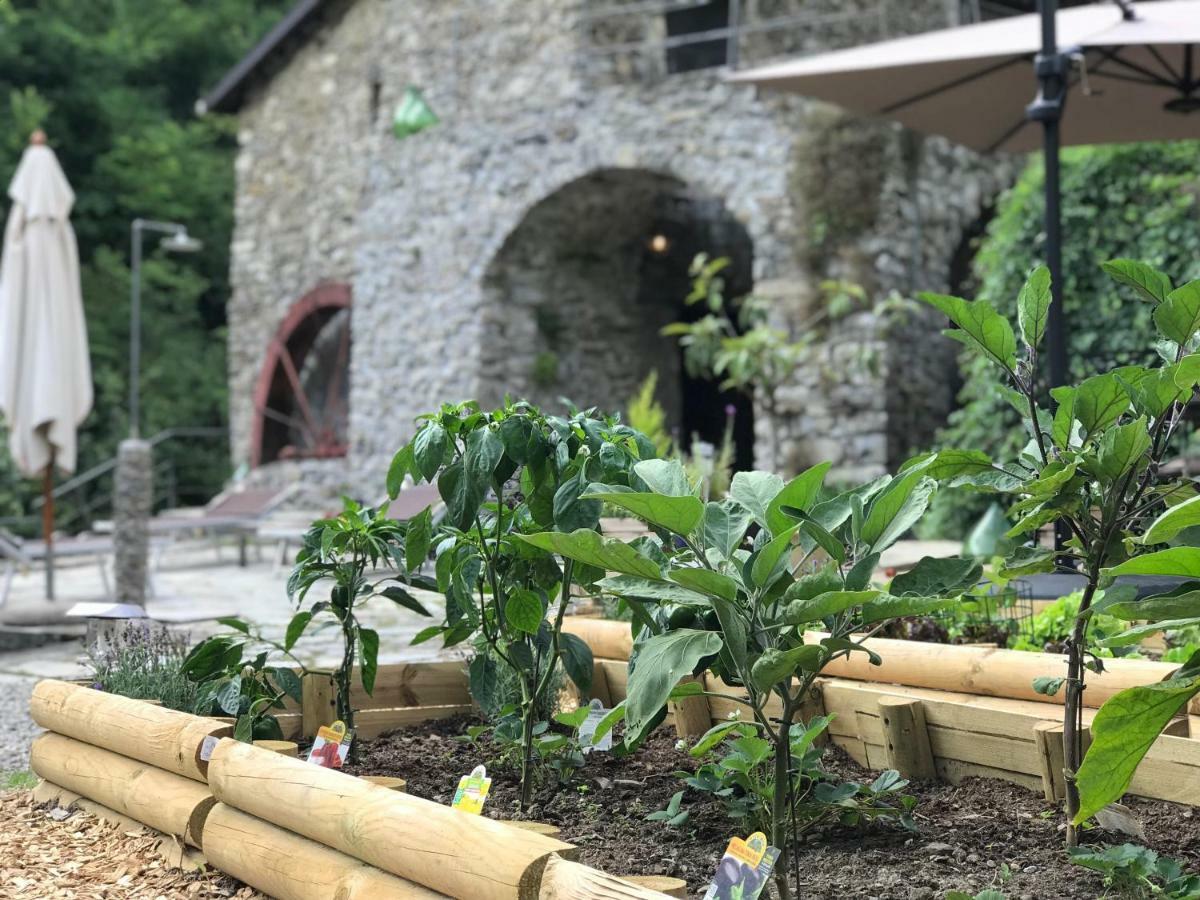 Old Mill Pigna Exterior foto